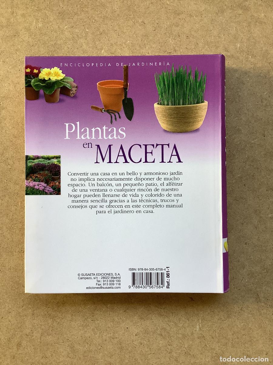 Libros de segunda mano: Plantas en maceta Echague, Jorge - Foto 2