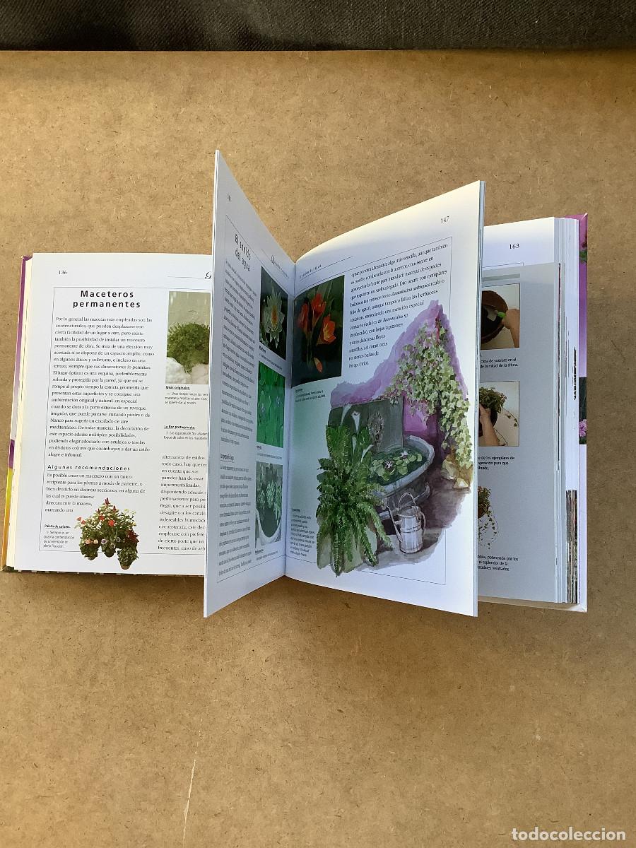 Libros de segunda mano: Plantas en maceta Echague, Jorge - Foto 3