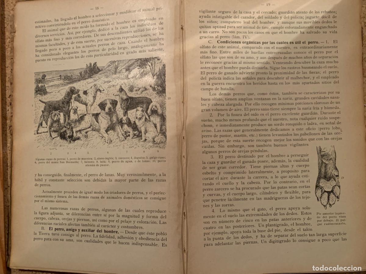 Libros de segunda mano: Curso de Zoolog&iacute;a de Schmeil (Bols,27) - Foto 3