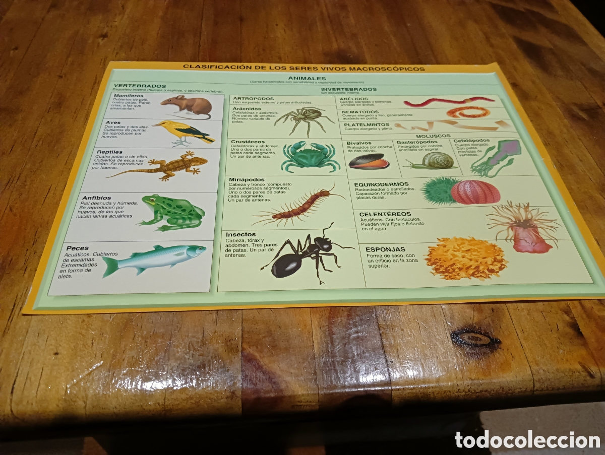 Libros de segunda mano: Ciencias de la naturaleza - Foto 6