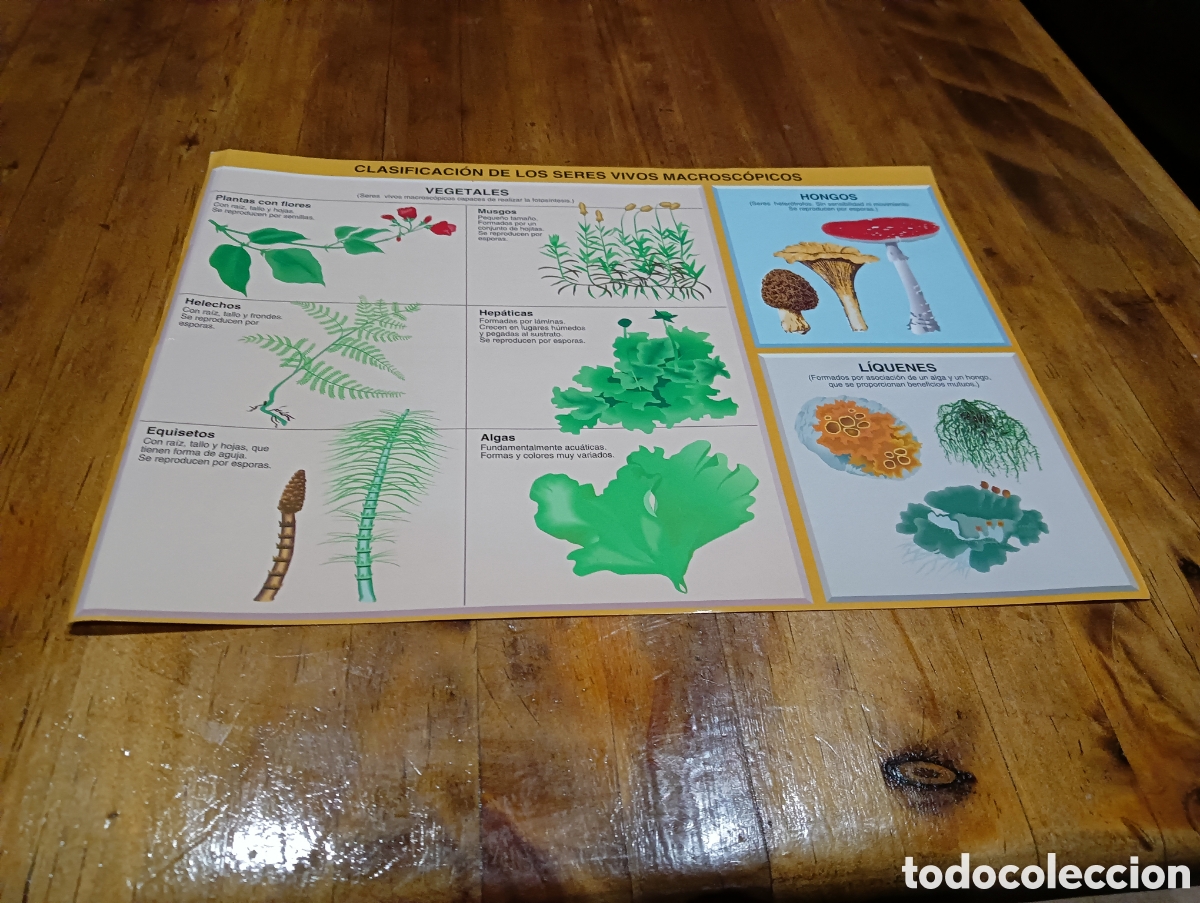 Libros de segunda mano: Ciencias de la naturaleza - Foto 7