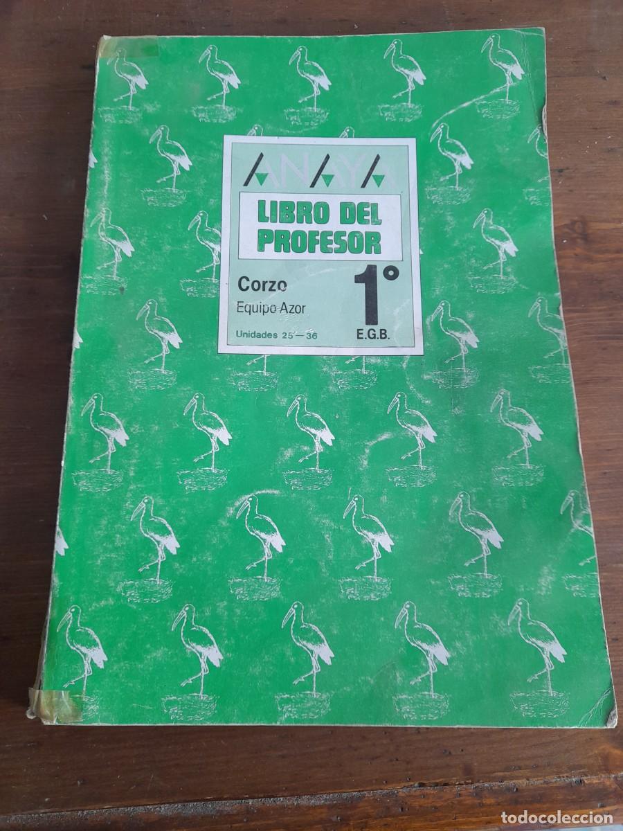 Libros de segunda mano: Libro del profesor Corzo Equipo Azor 1 EGB Educaci&oacute;n General B&aacute;sica - Foto 1