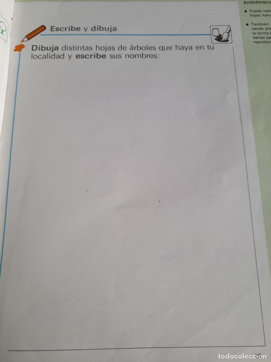 Libros de segunda mano: Libro del profesor Corzo Equipo Azor 1 EGB Educaci&oacute;n General B&aacute;sica - Foto 4