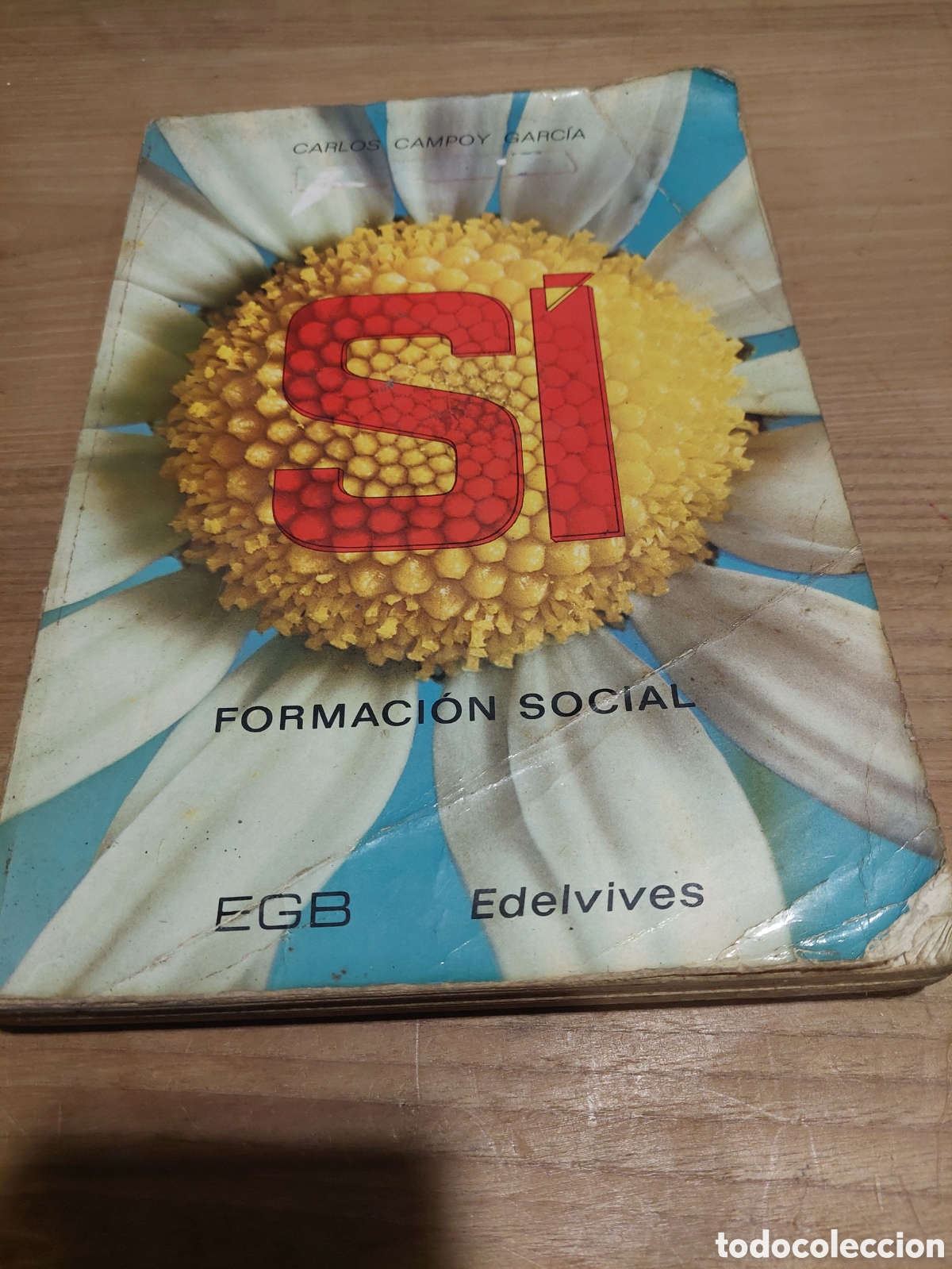 Libros de segunda mano: 1973 formaci&oacute;n social carliscampoy Garc&iacute;a edelvives