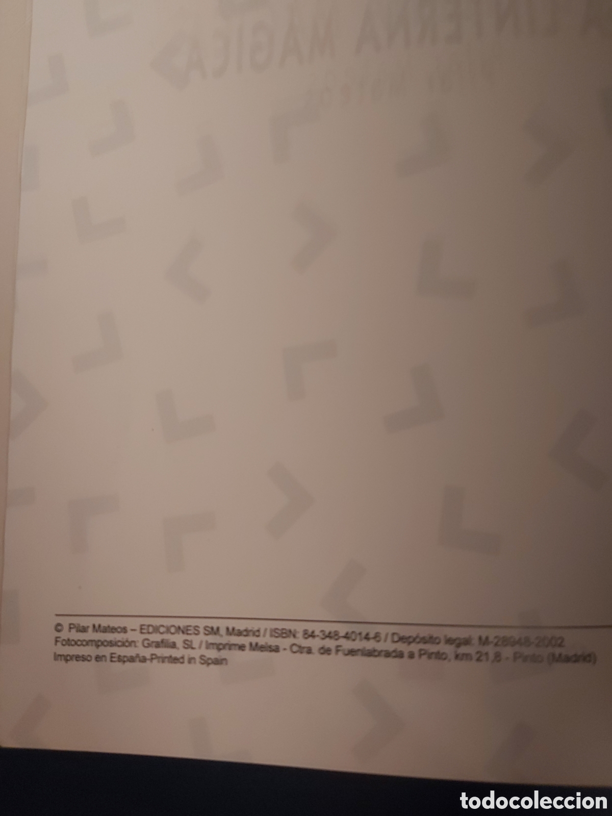 Libros de segunda mano: LA LINTERNA M&Aacute;GICA $ PLIAR MATEOS $ SM $ 2002 - Foto 3