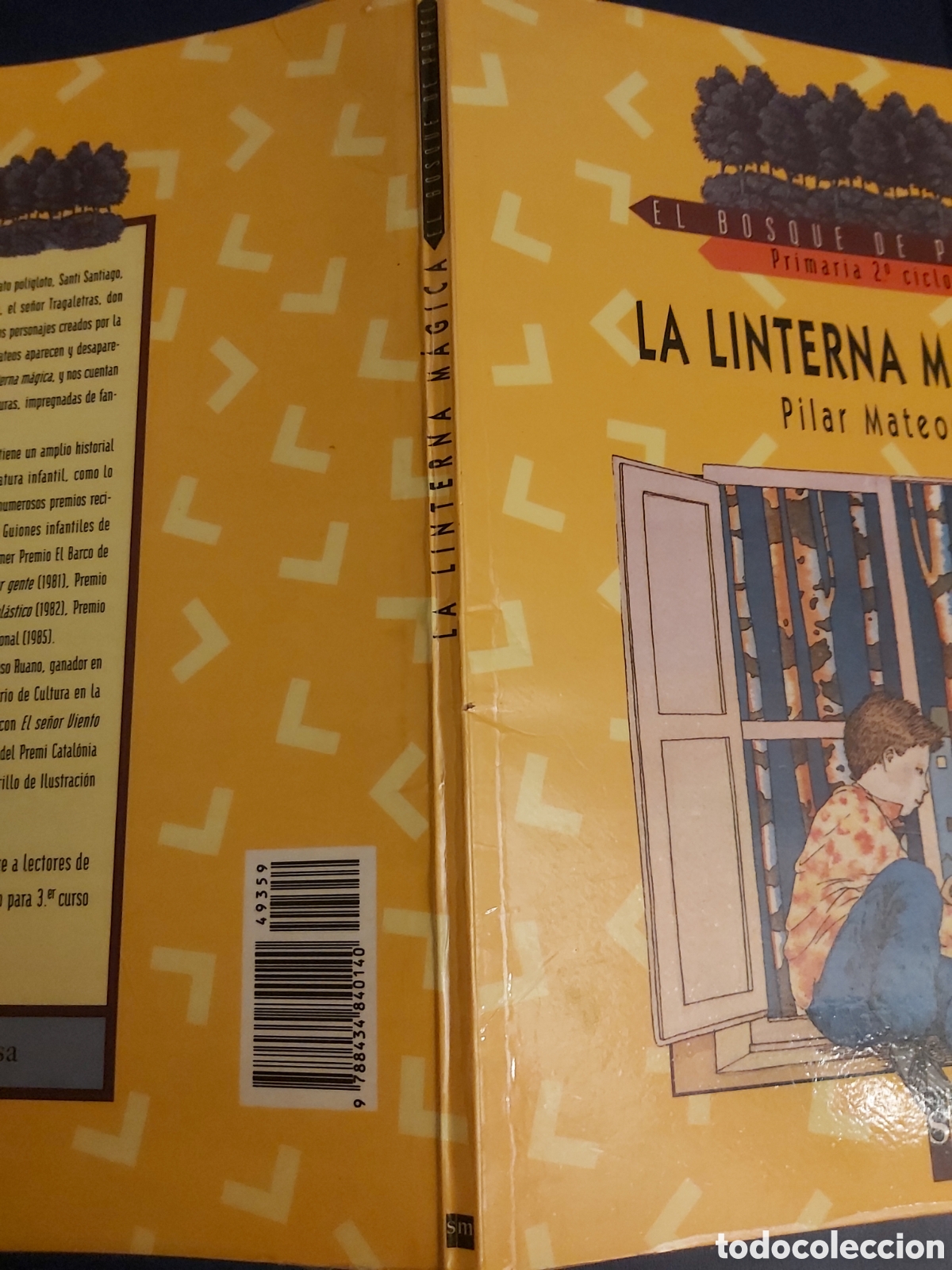 Libros de segunda mano: LA LINTERNA M&Aacute;GICA $ PLIAR MATEOS $ SM $ 2002 - Foto 8