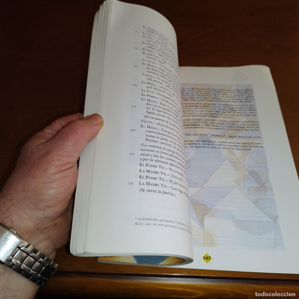 Libros de segunda mano: FIERABRAS1 / / CONSO 289 / ANAYA - Foto 5