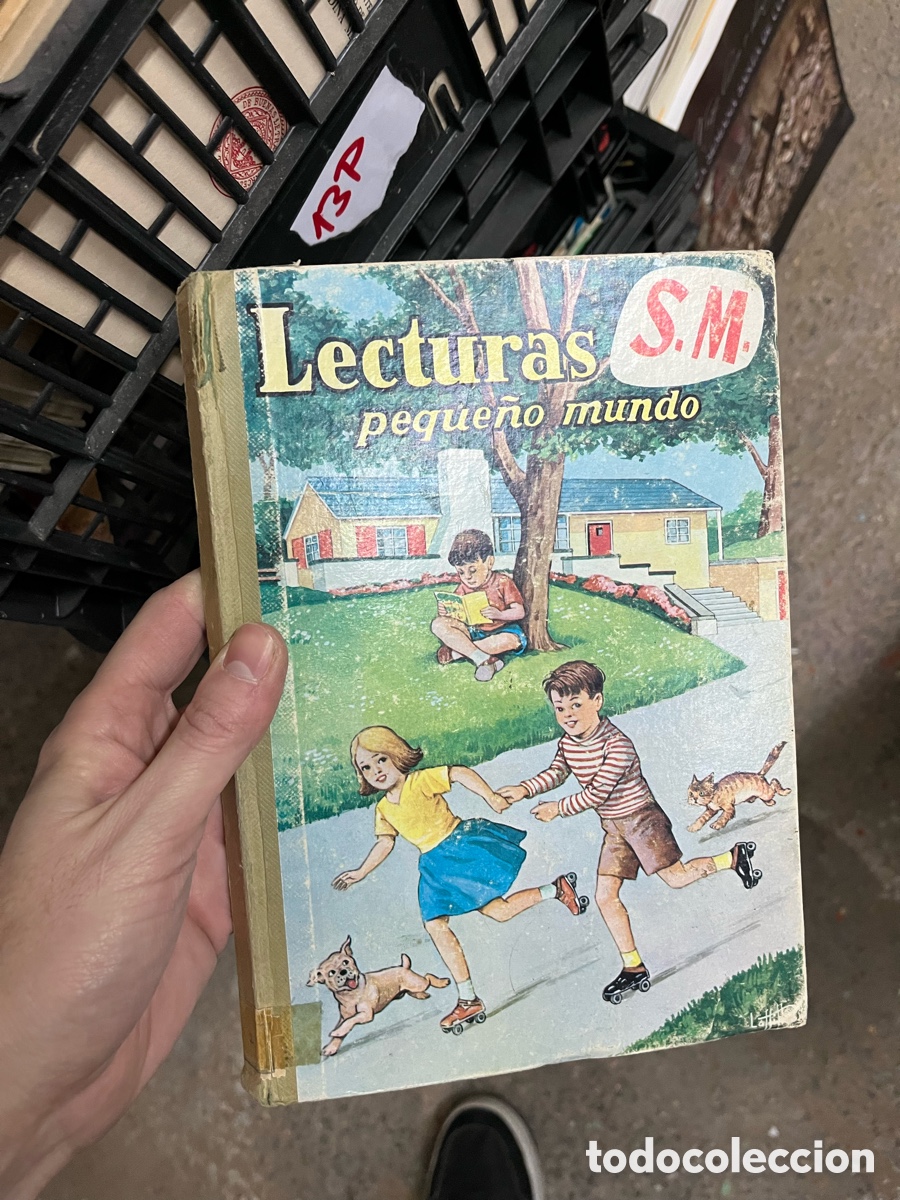 Libros de segunda mano: 13P Lecturas S.M peque&ntilde;o mundo