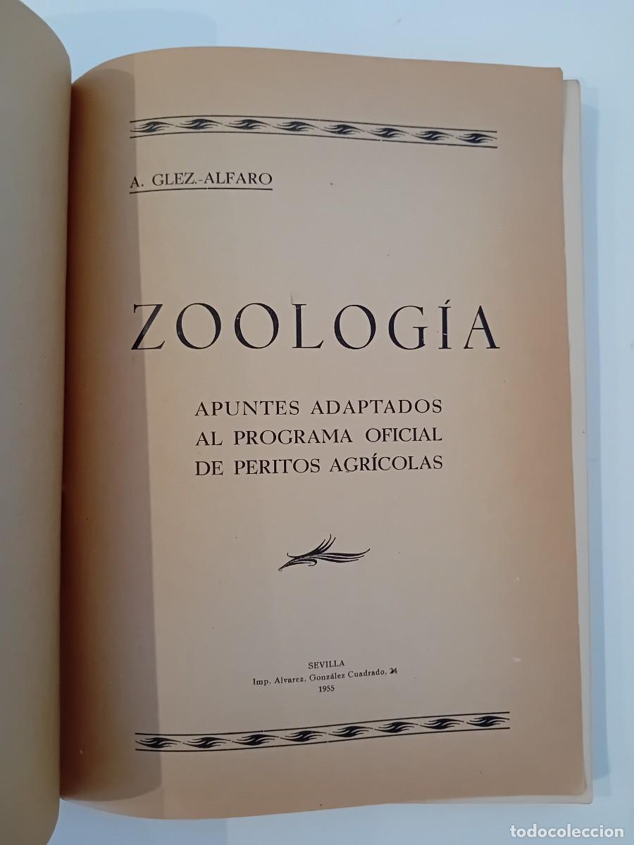 Libros de segunda mano: ZOOLOG&Iacute;A. A. GONZ&Aacute;LEZ ALFARO. SEVILLA. 1955 - Foto 2