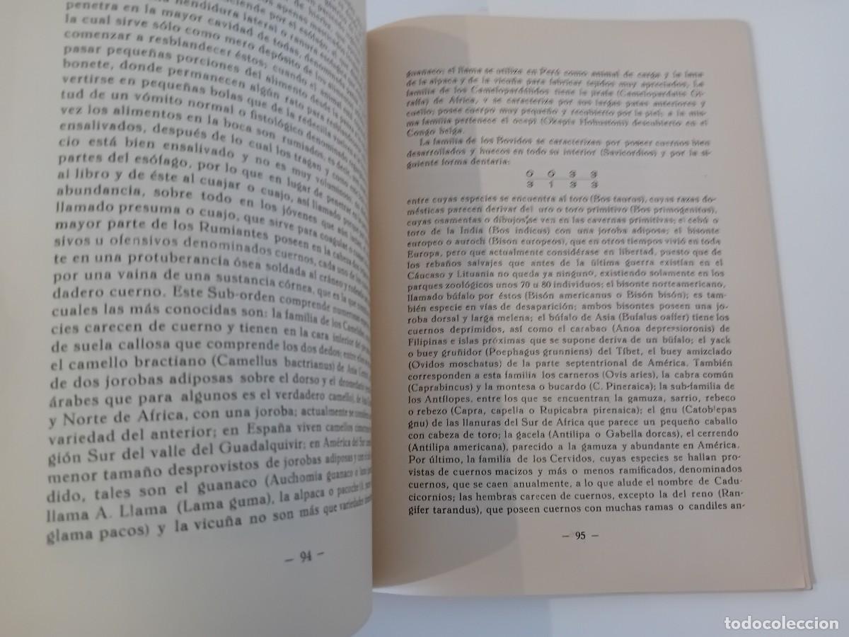 Libros de segunda mano: ZOOLOG&Iacute;A. A. GONZ&Aacute;LEZ ALFARO. SEVILLA. 1955 - Foto 3