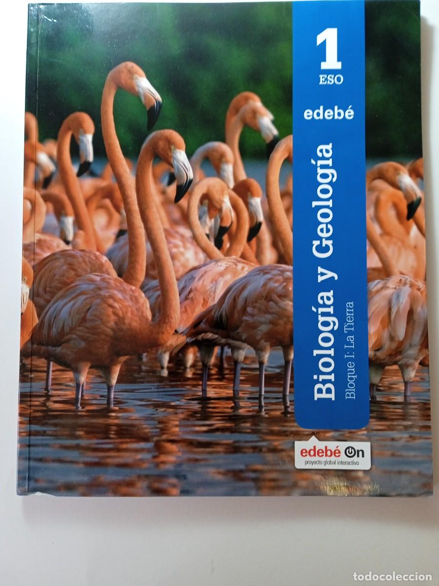 Libros de segunda mano: BIOLOG&Iacute;A Y GEOLOG&Iacute;A 1&ordm; ESO - EDEB&Eacute; - Foto 1