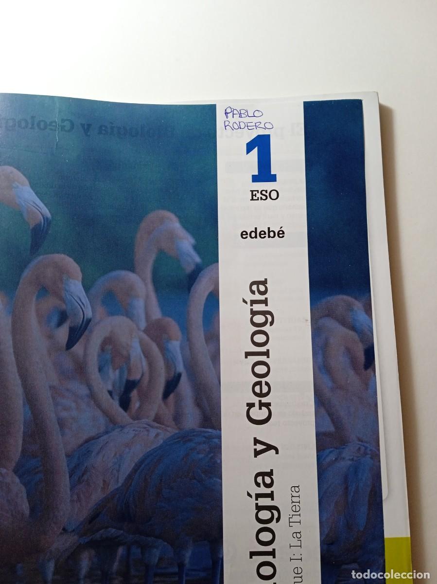 Libros de segunda mano: BIOLOG&Iacute;A Y GEOLOG&Iacute;A 1&ordm; ESO - EDEB&Eacute; - Foto 3