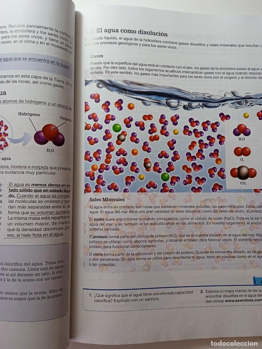 Libros de segunda mano: BIOLOG&Iacute;A Y GEOLOG&Iacute;A 1&ordm; ESO - EDEB&Eacute; - Foto 6