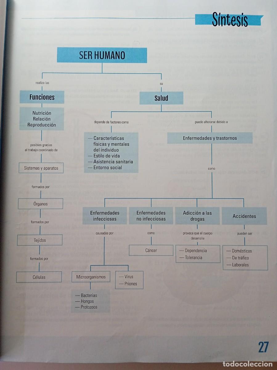 Libros de segunda mano: BIOLOG&Iacute;A Y GEOLOG&Iacute;A 3&ordm; ESO - EDEB&Eacute; - Foto 4