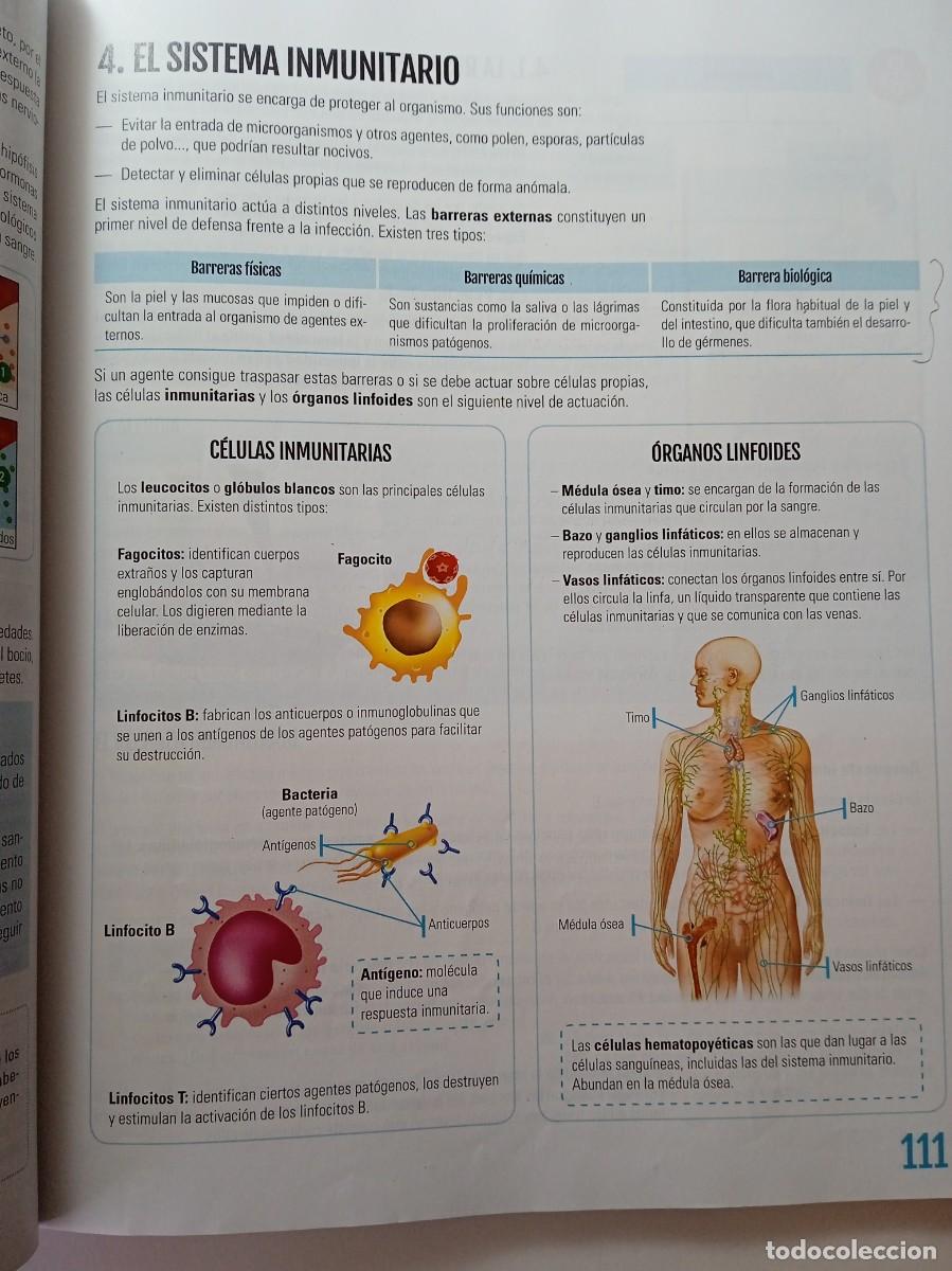 Libros de segunda mano: BIOLOG&Iacute;A Y GEOLOG&Iacute;A 3&ordm; ESO - EDEB&Eacute; - Foto 6
