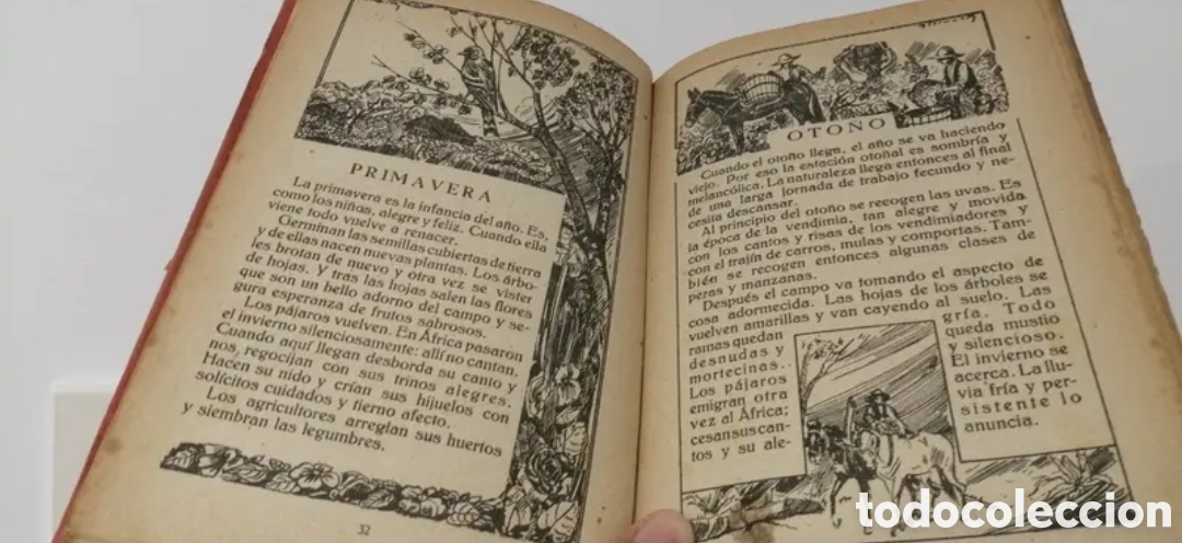 Libros de segunda mano: 1949 Simiente menuda. Editorial Salvatella - Foto 6