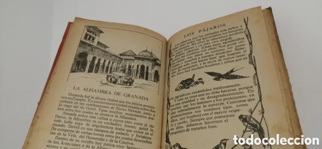 Libros de segunda mano: 1949 Simiente menuda. Editorial Salvatella - Foto 7