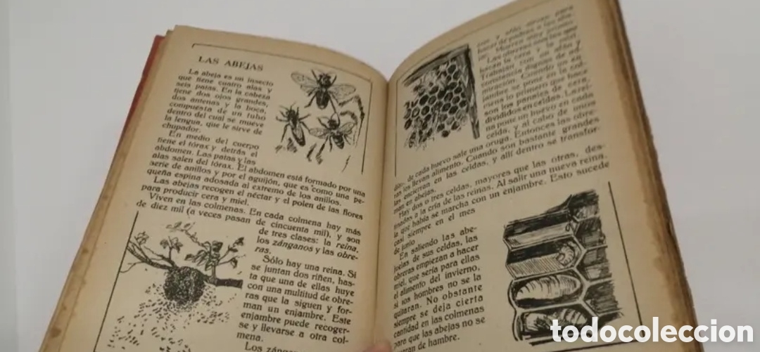 Libros de segunda mano: 1949 Simiente menuda. Editorial Salvatella - Foto 9