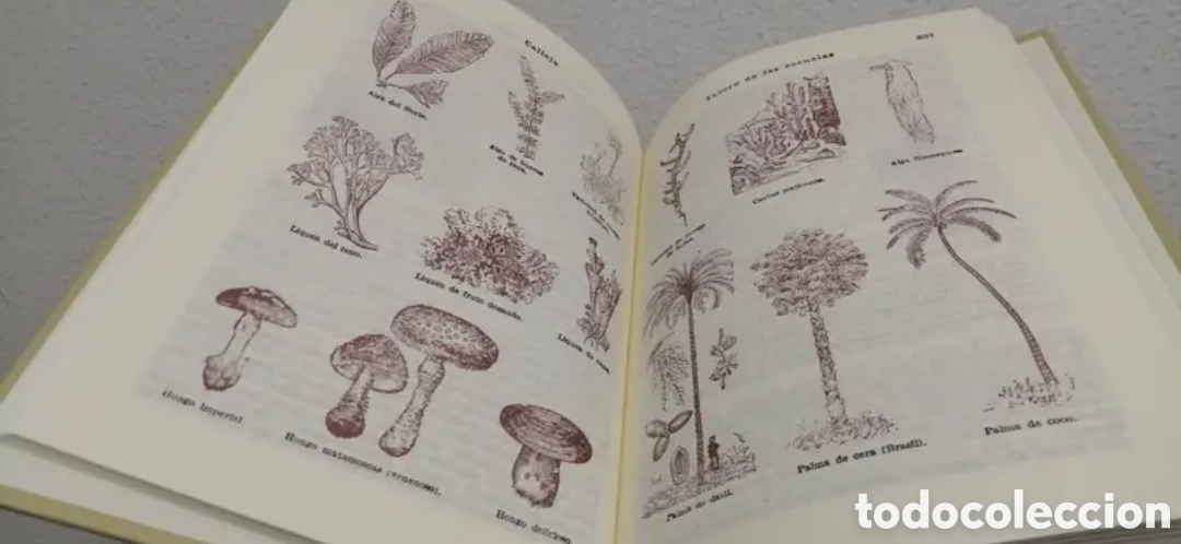 Libros de segunda mano: Tesoro de las Escuelas (II) Calleja Facs&iacute;mil - Foto 7