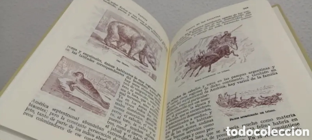 Libros de segunda mano: Tesoro de las Escuelas (II) Calleja Facs&iacute;mil - Foto 8