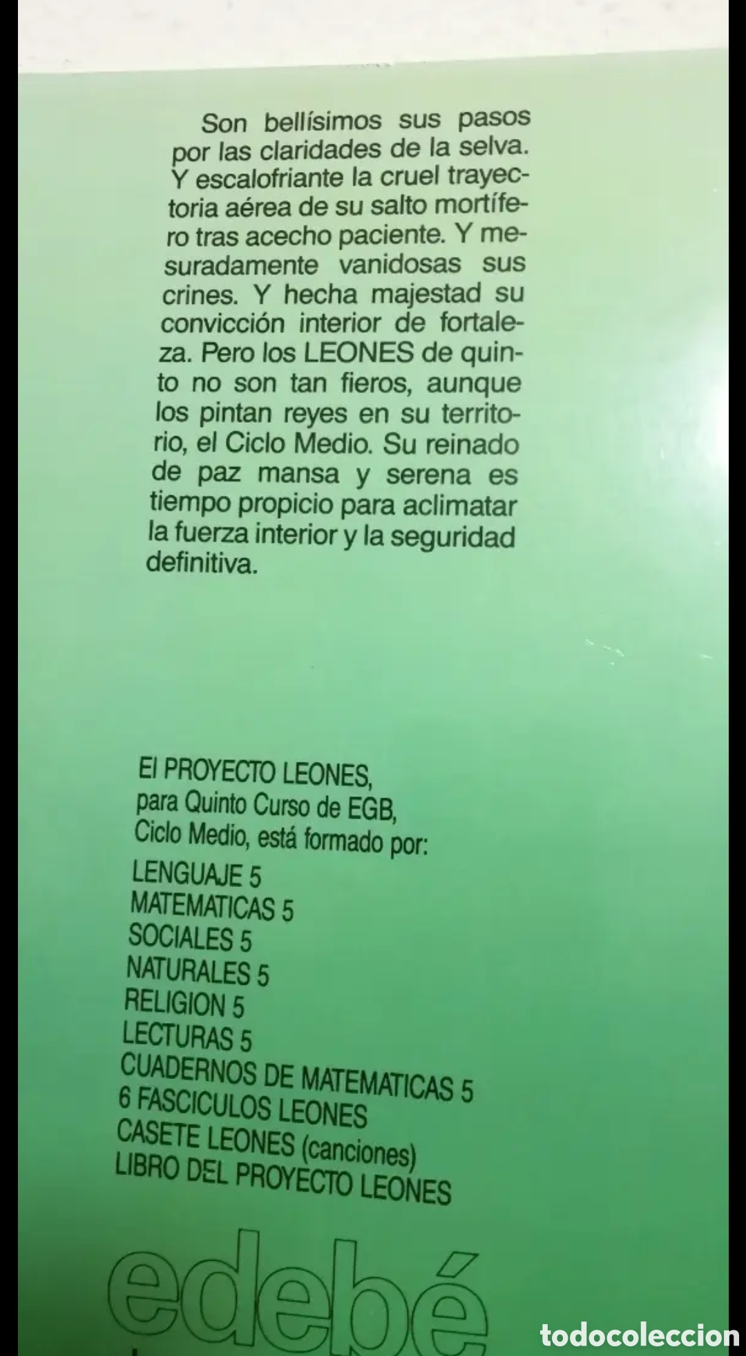 Libros de segunda mano: 1987 Matem&aacute;ticas 5 EGB Edebe - Foto 2