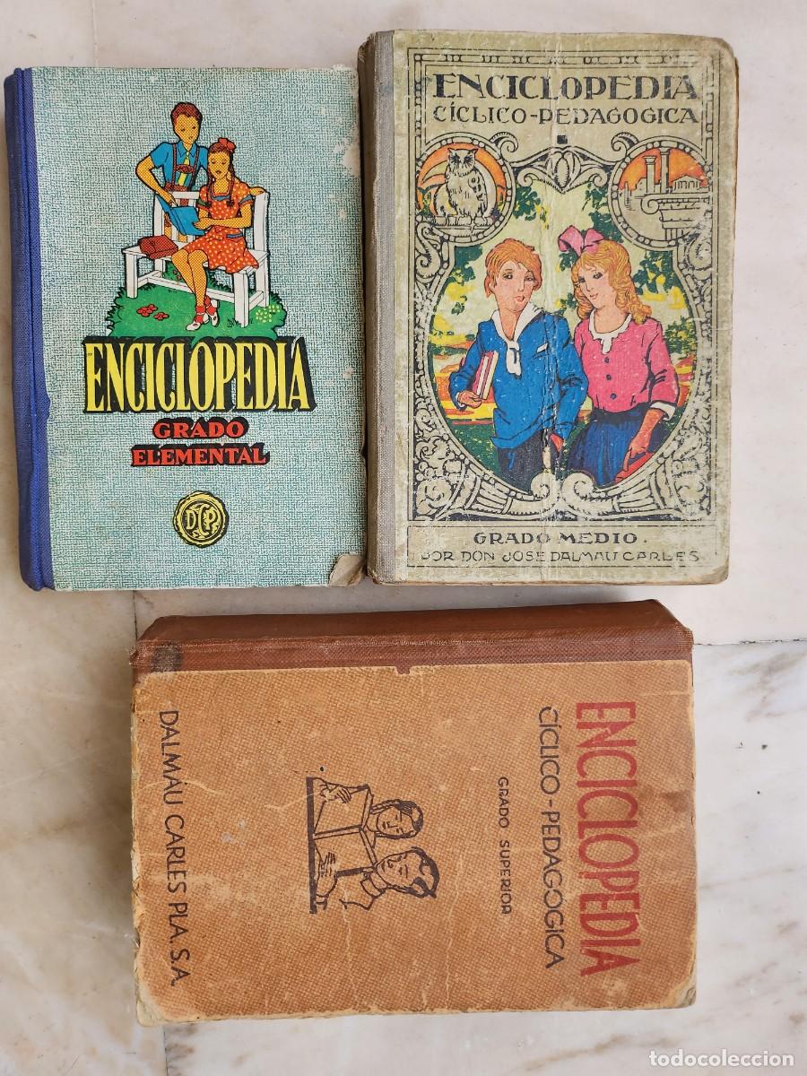 Gebrauchte B&uuml;cher: CONJUNTO ENCICLOPEDIA C&Iacute;CLICO - PEDAG&Oacute;GICA DALMAU CARLES GRADO ELEMENTAL, MEDIO Y SUPERIOR