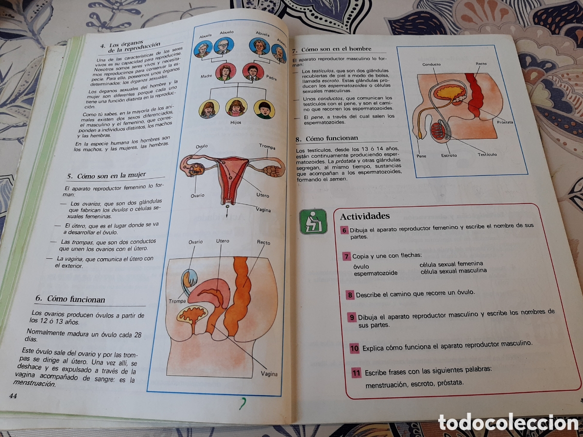Libros de segunda mano: Anaya Naturales 5 EGB 1984 - Foto 7