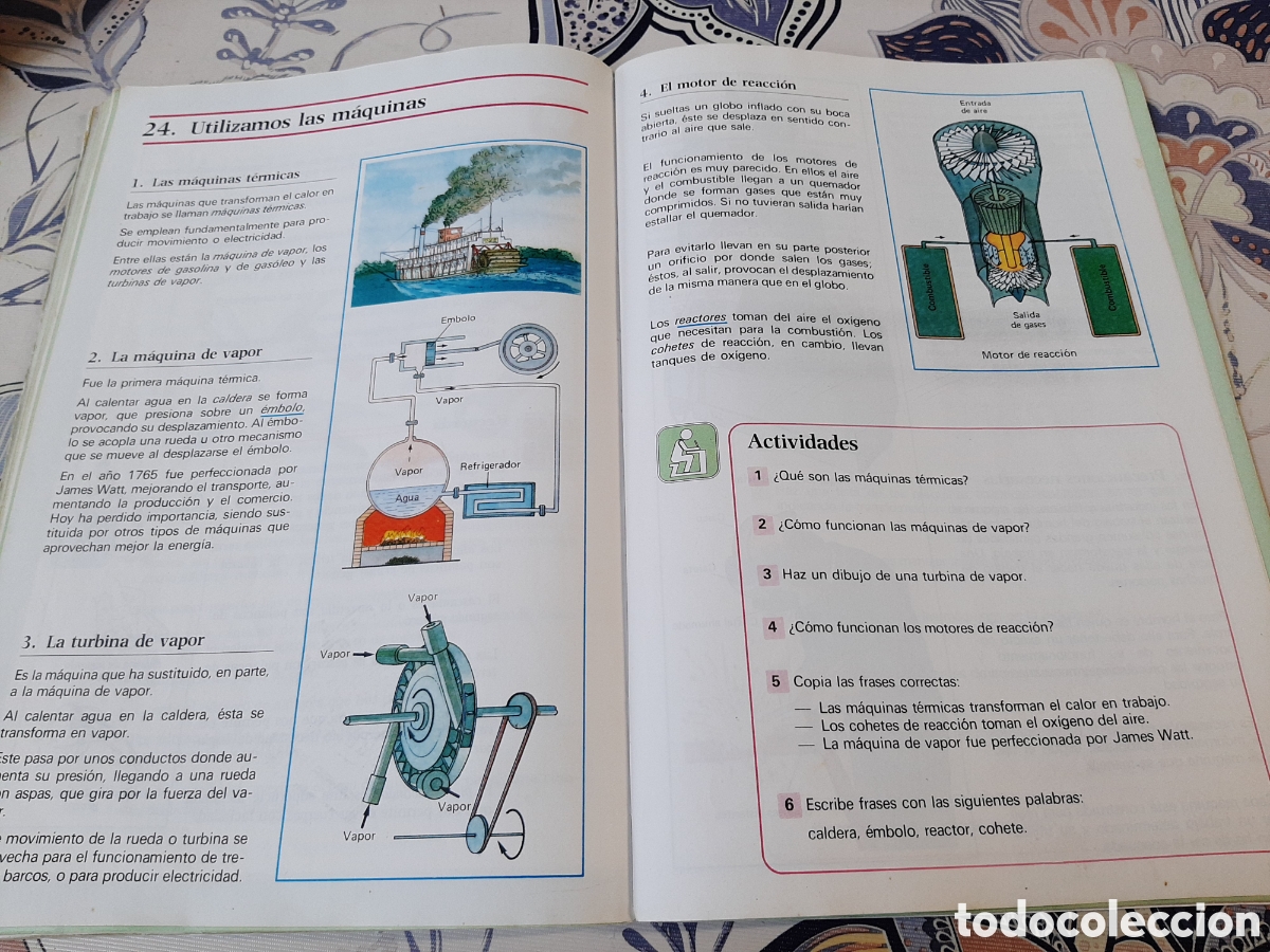 Libros de segunda mano: Anaya Naturales 5 EGB 1984 - Foto 11