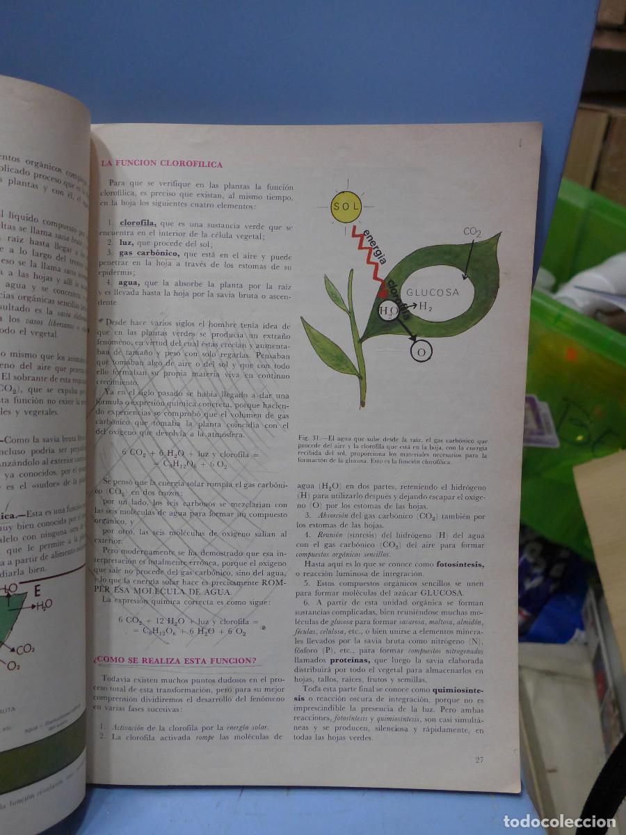 Libros de segunda mano: CIENCIAS DE LA NATURALEZA FP1 - EVEREST - Foto 14