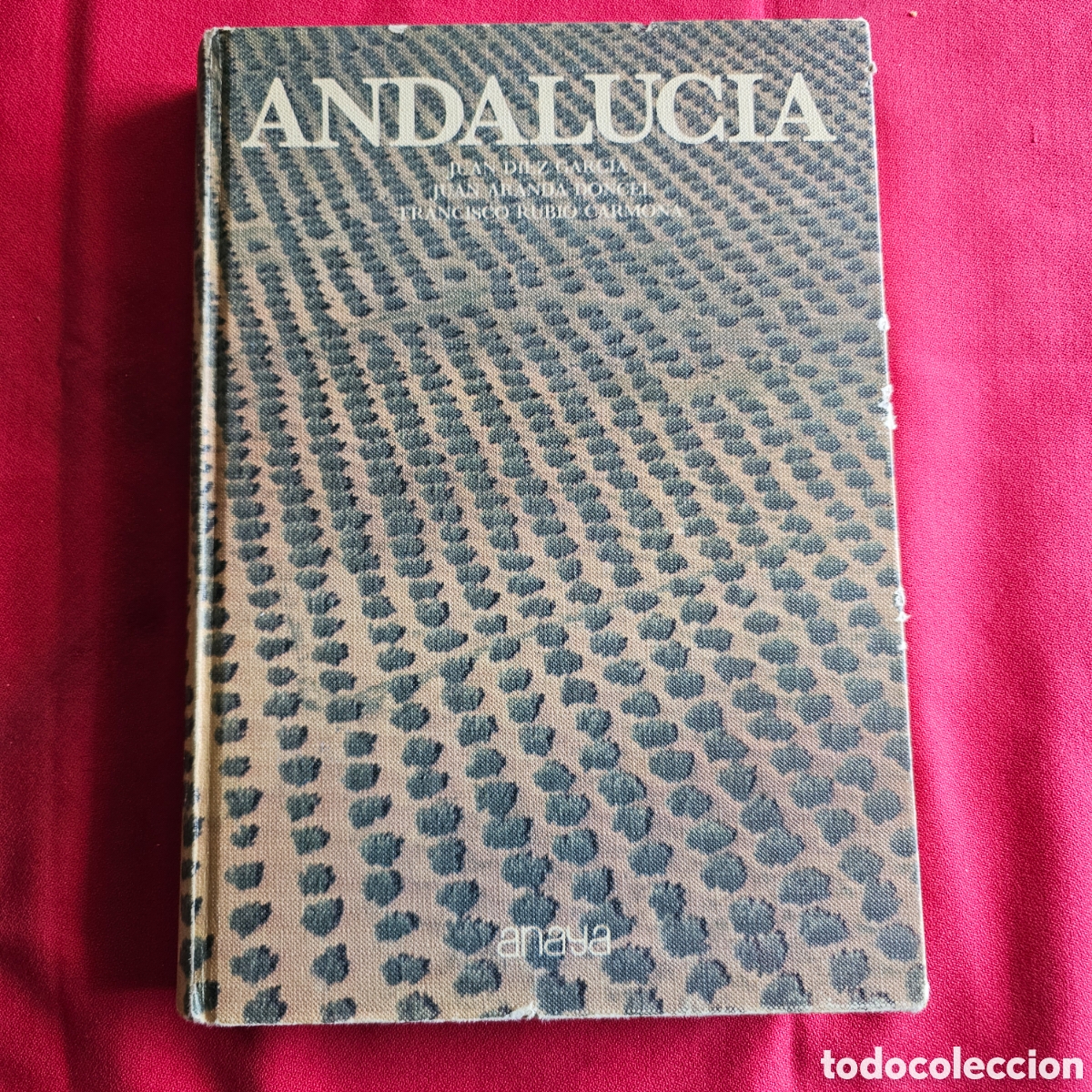 Libros de segunda mano: LIBRO DE TEXTO EDITORIAL ANAYA ANDALUCIA - Foto 1