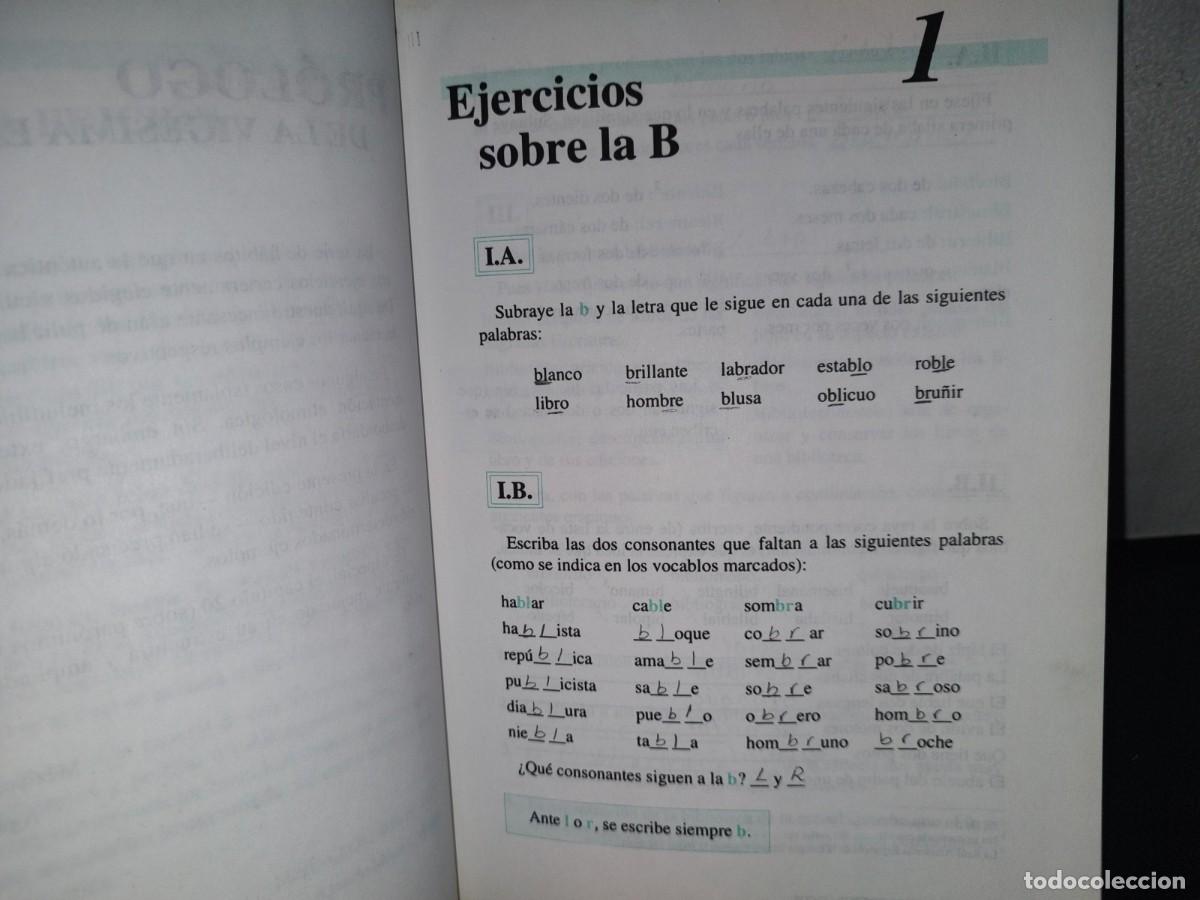 Libros de segunda mano: 95- EJERCICIOS ORTOGR&Aacute;FICOS - AGUST&Iacute;N MATEOS MU&Ntilde;OZ - Foto 8