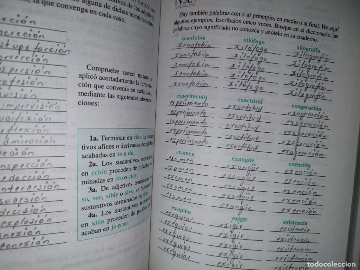 Libros de segunda mano: 95- EJERCICIOS ORTOGR&Aacute;FICOS - AGUST&Iacute;N MATEOS MU&Ntilde;OZ - Foto 10