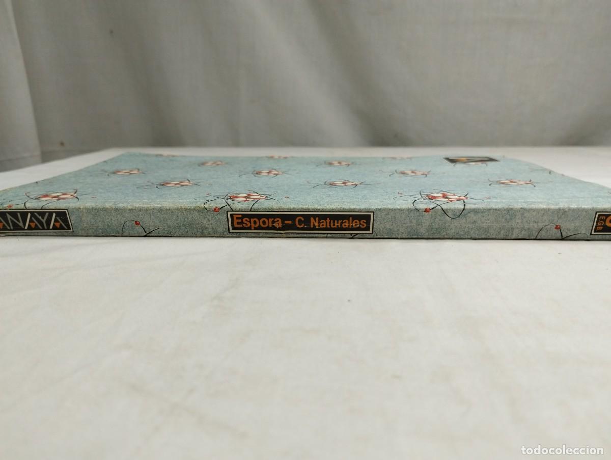 Libros de segunda mano: Espora, C. Naturales 8&deg; EGB. Anaya - Foto 3