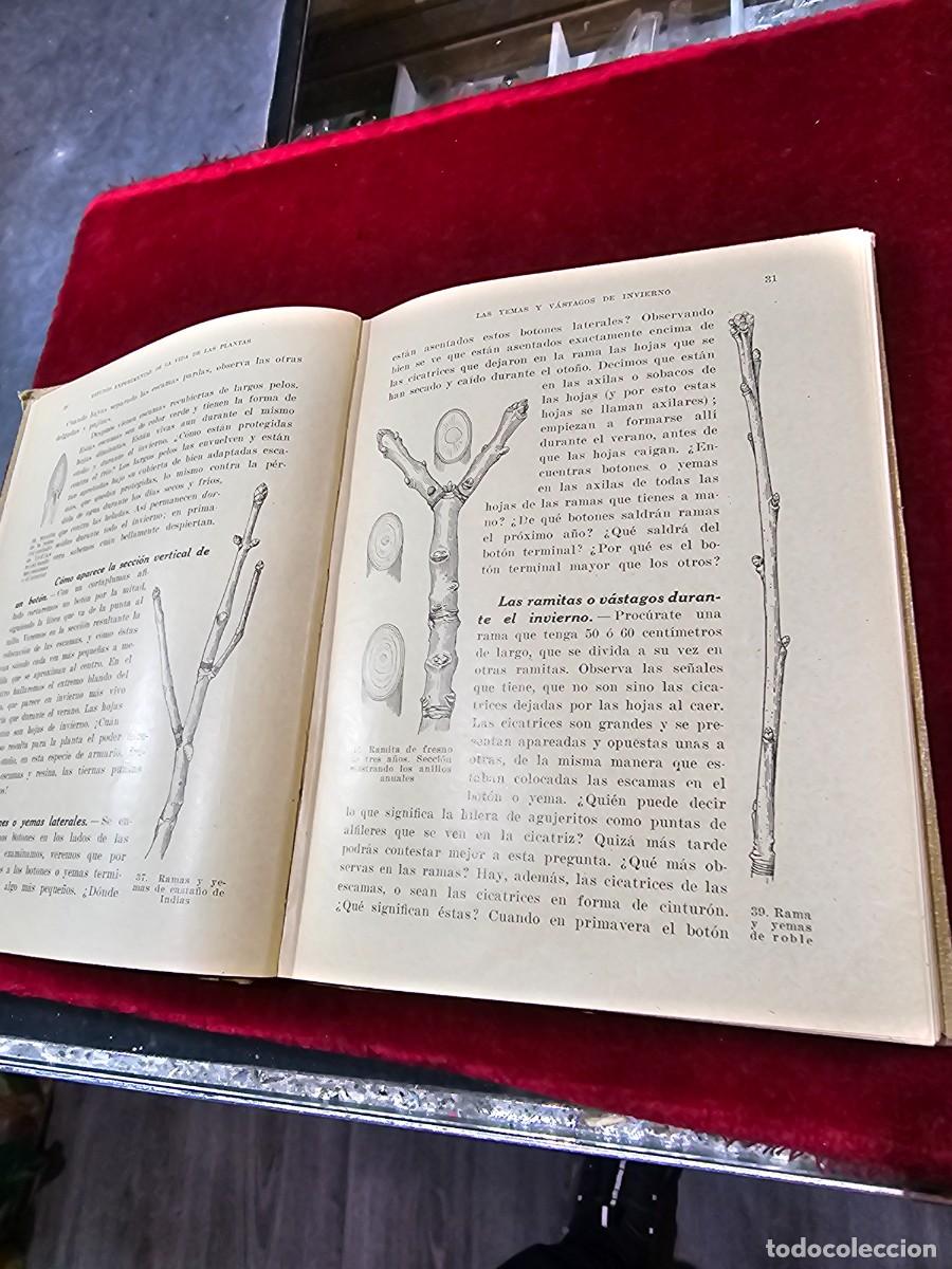Libros de segunda mano: Antiguo libro texto estudio experimental vida de las plantas seix barral - Foto 4