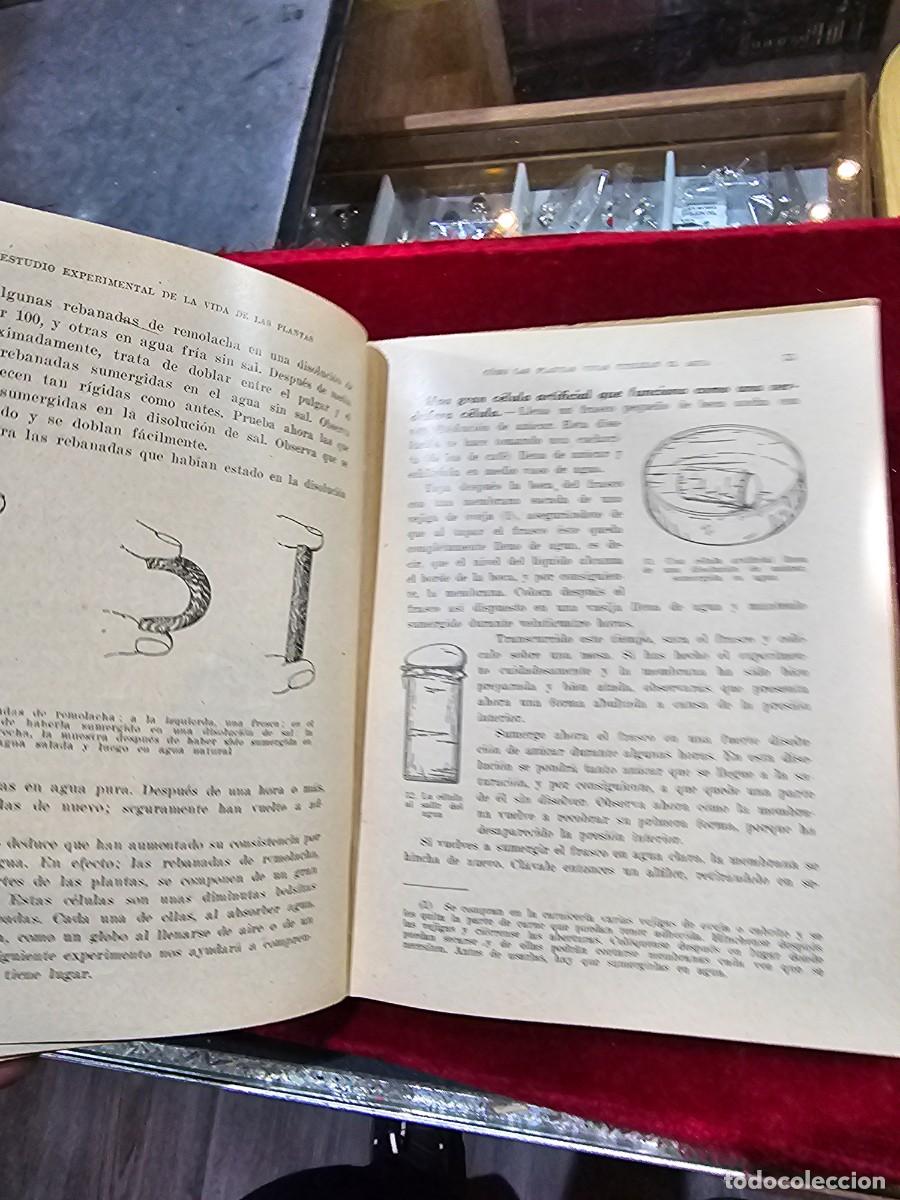 Libros de segunda mano: Antiguo libro texto estudio experimental vida de las plantas seix barral - Foto 5