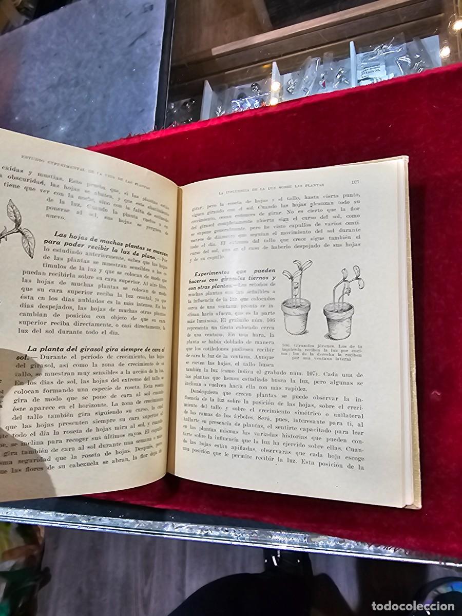 Libros de segunda mano: Antiguo libro texto estudio experimental vida de las plantas seix barral - Foto 6