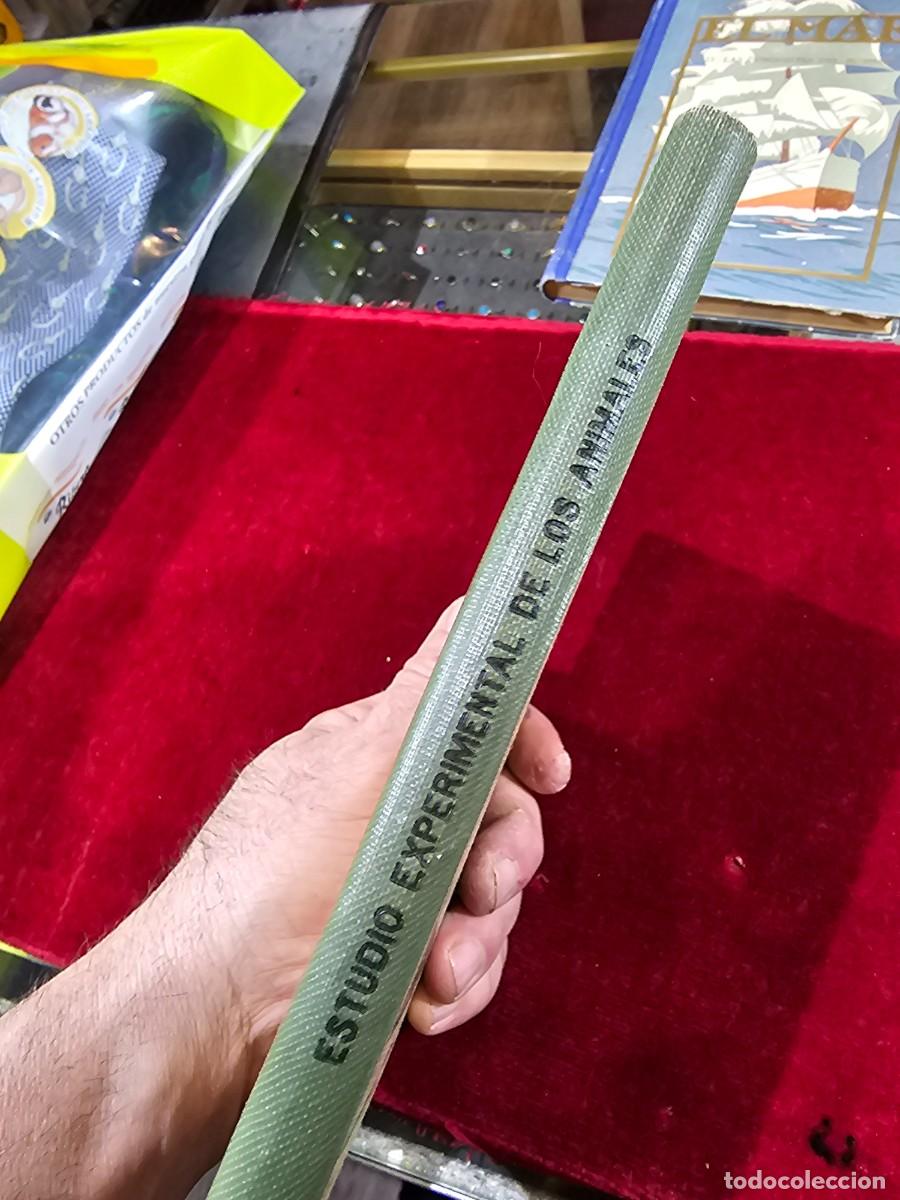 Libros de segunda mano: Antiguo libro texto estudio experimental seix barral 1941 c&oacute;mo nuevo !!! - Foto 3