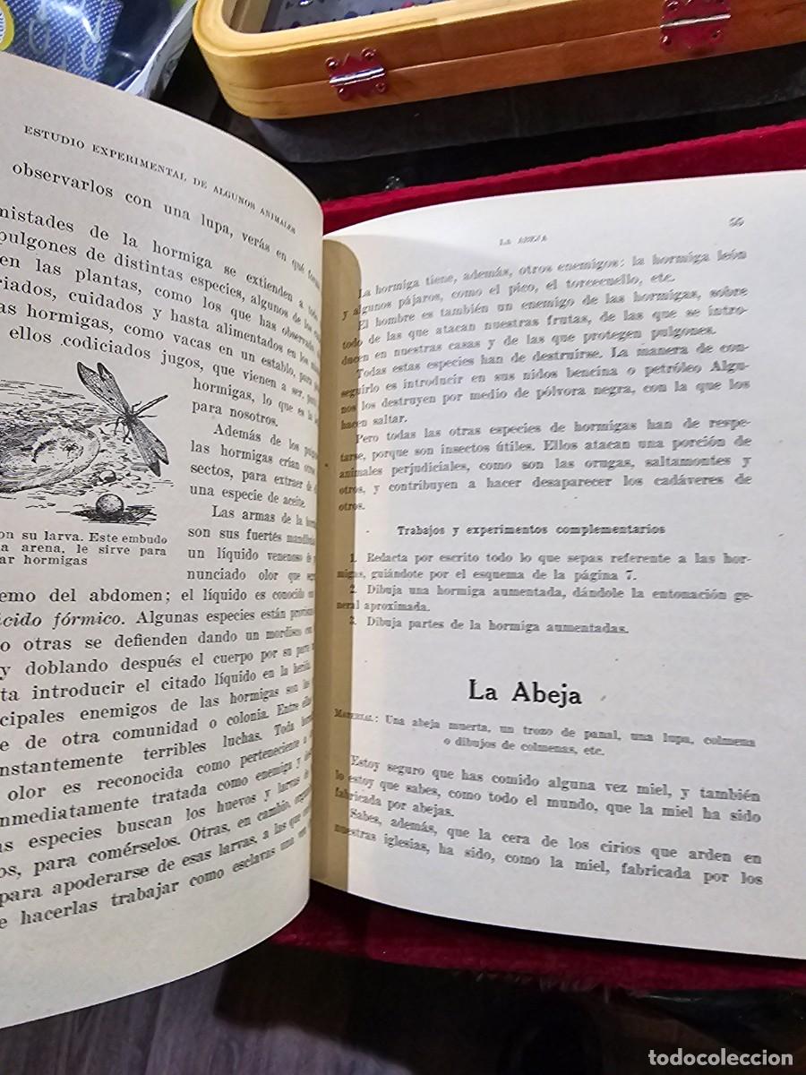Libros de segunda mano: Antiguo libro texto estudio experimental seix barral 1941 c&oacute;mo nuevo !!! - Foto 4