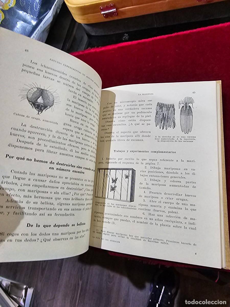 Libros de segunda mano: Antiguo libro texto estudio experimental seix barral 1941 c&oacute;mo nuevo !!! - Foto 5
