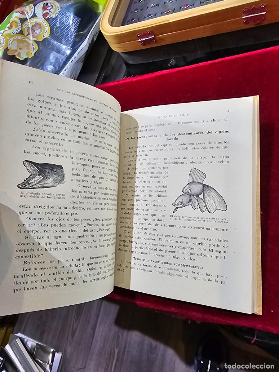 Libros de segunda mano: Antiguo libro texto estudio experimental seix barral 1941 c&oacute;mo nuevo !!! - Foto 6