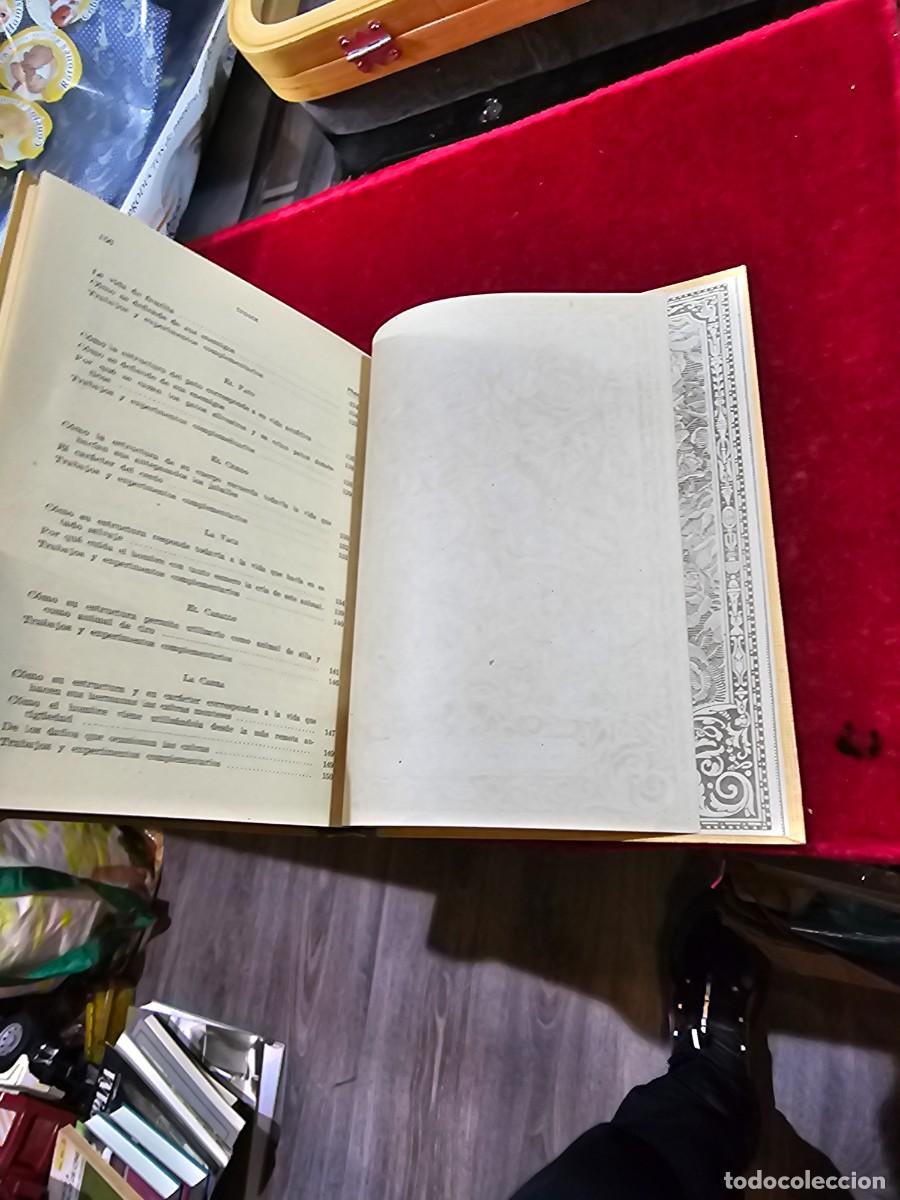 Libros de segunda mano: Antiguo libro texto estudio experimental seix barral 1941 c&oacute;mo nuevo !!! - Foto 7