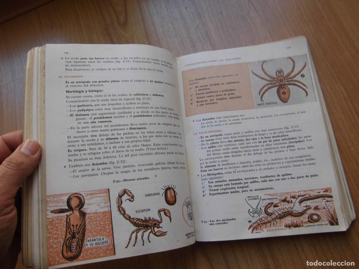 Libros de segunda mano: CIENCIAS NATURALES 3&ordm; SM LIBRO DE TEXTO 1959 - Foto 4