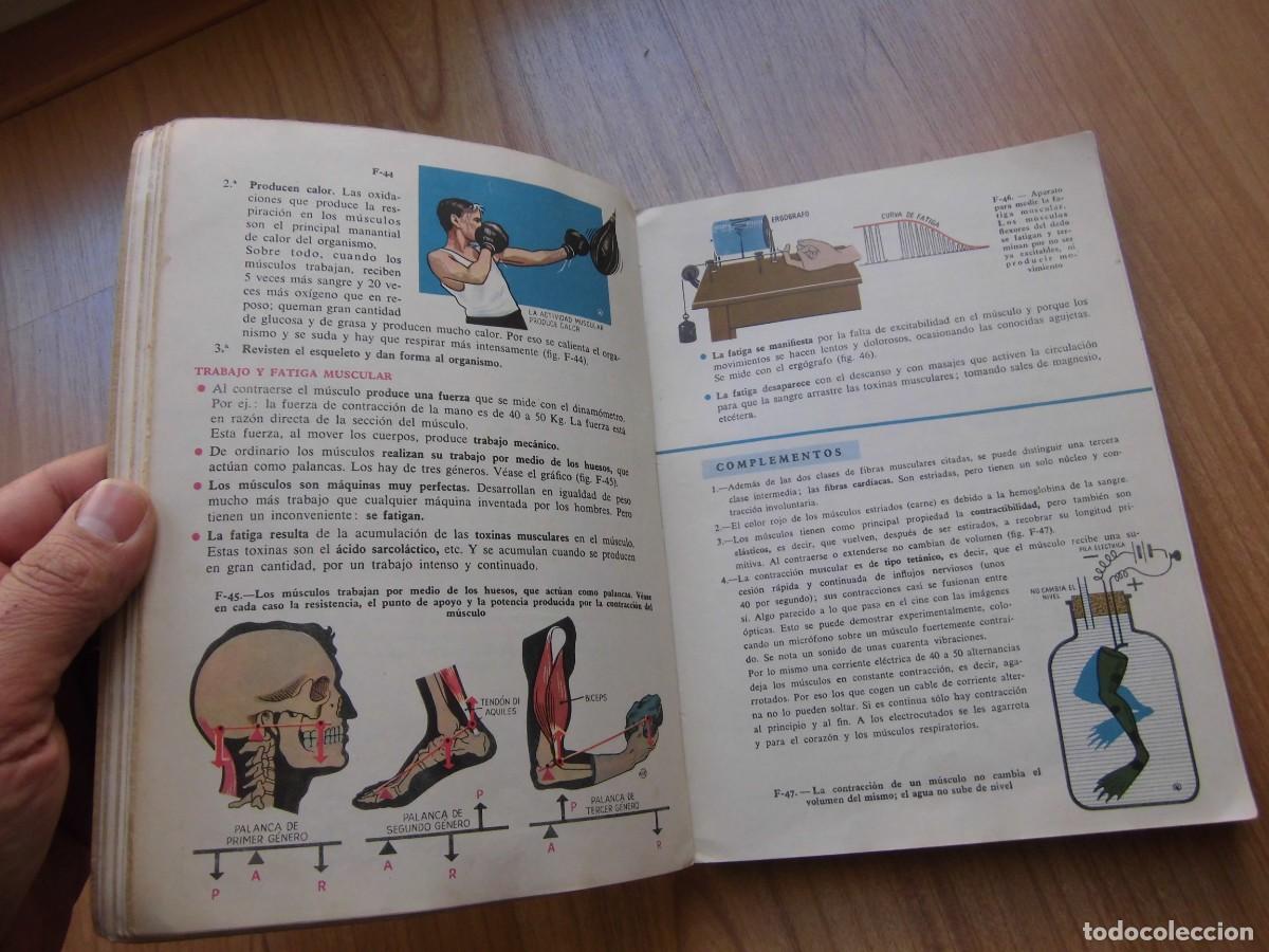 Libros de segunda mano: CIENCIAS NATURALES 3&ordm; SM LIBRO DE TEXTO 1959 - Foto 5