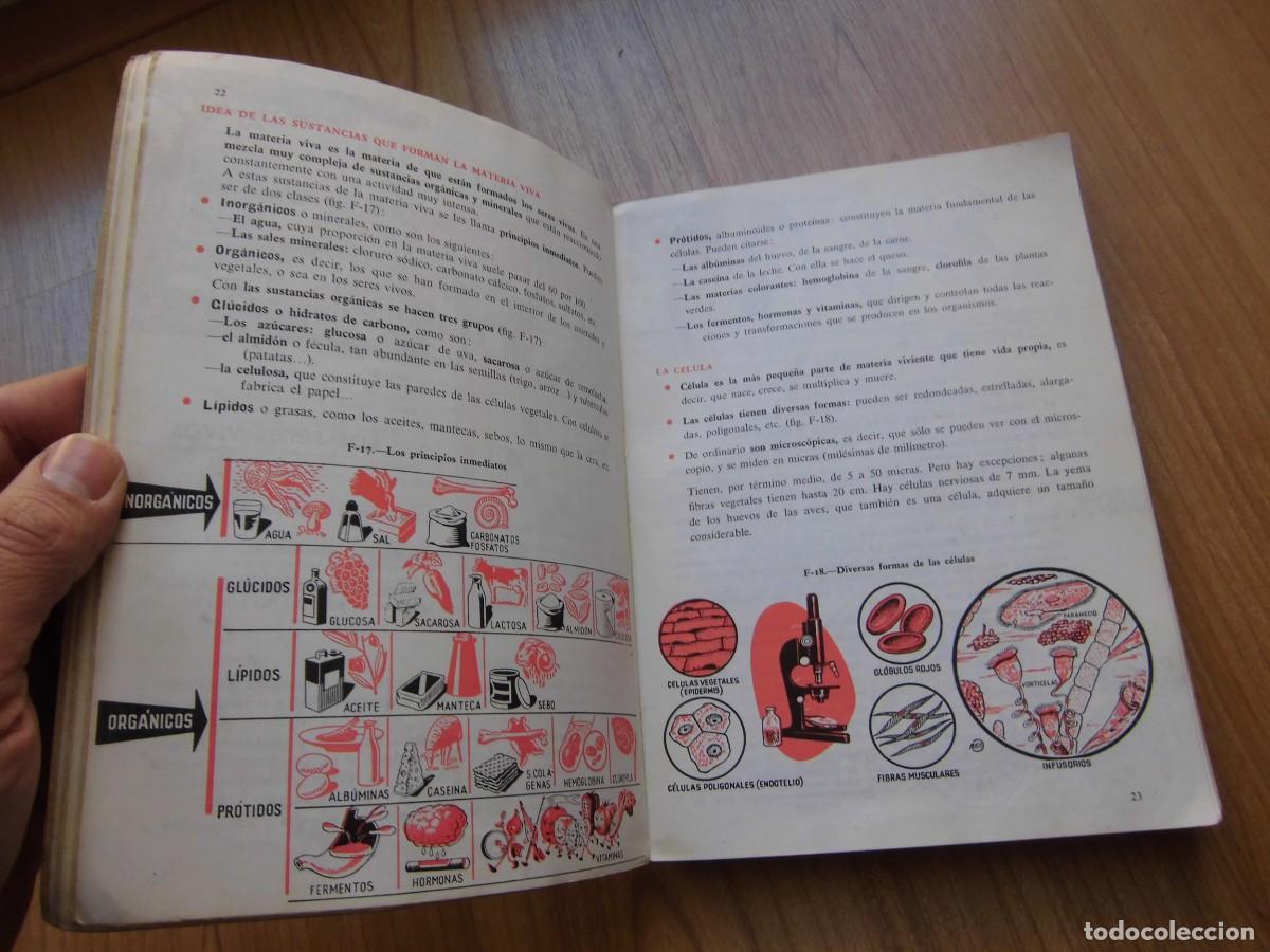 Libros de segunda mano: CIENCIAS NATURALES 3&ordm; SM LIBRO DE TEXTO 1959 - Foto 6