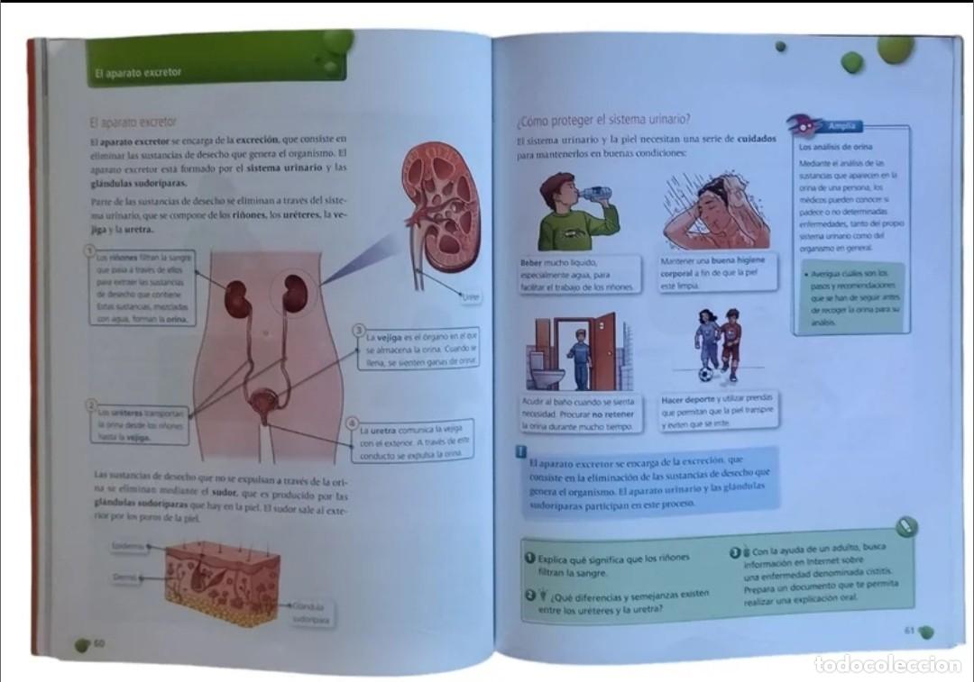Libros de segunda mano: CIENCIAS DE LA NATURALEZA 4 PRIMARIA. - Foto 5