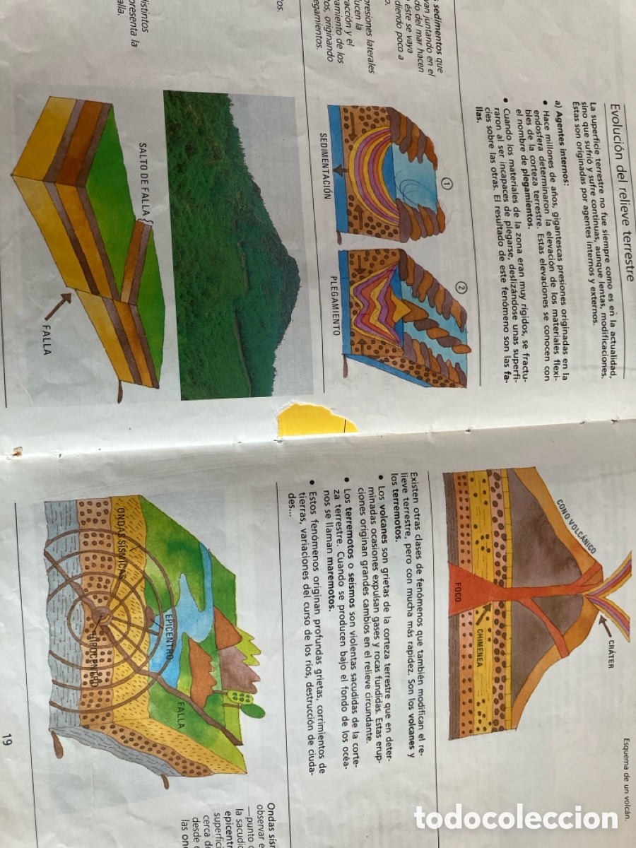 Libros de segunda mano: Dos libros de 6&ordm; EGB - Foto 3
