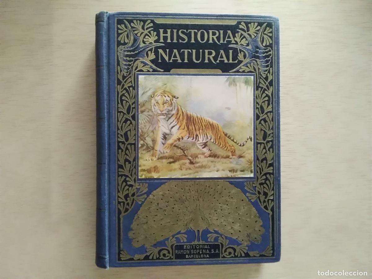 Libros de segunda mano: LIBRO HISTORIA NATURAL POPULAR. EDITORIAL RAM&Oacute;N SOPENA. - Foto 1