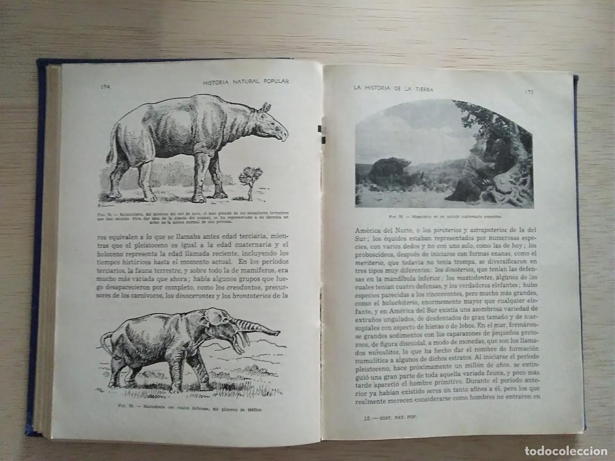 Libros de segunda mano: LIBRO HISTORIA NATURAL POPULAR. EDITORIAL RAM&Oacute;N SOPENA. - Foto 3