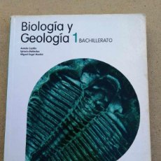 Libros de segunda mano: BIOLOGIA Y GEOLOGIA 1º BACHILLERATO (SANTILLANA)