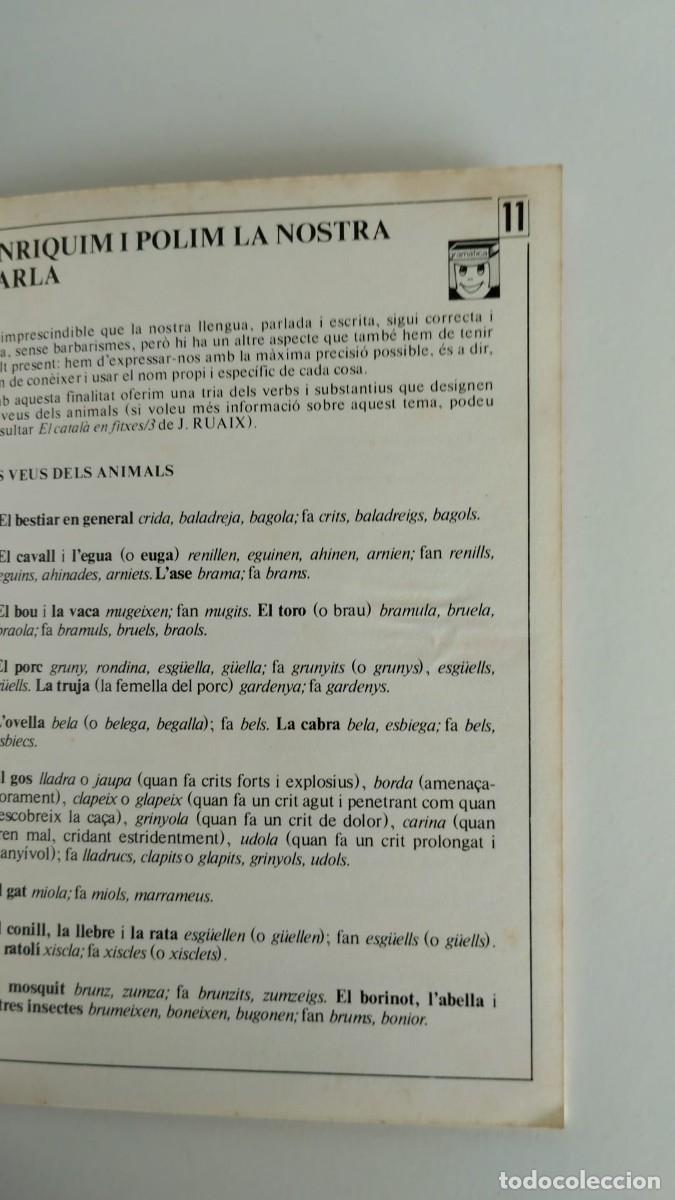 Libros de segunda mano: apunts de catal&agrave; pr&agrave;ctic - Foto 3